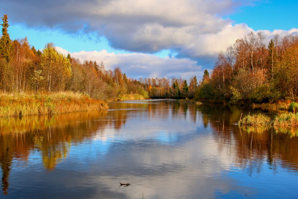 Photograph by Александр Трифанов