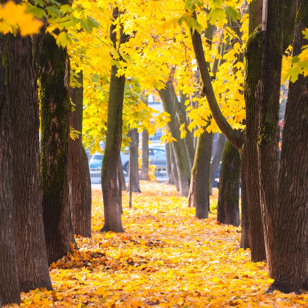 Photograph by Kseniya Shilina