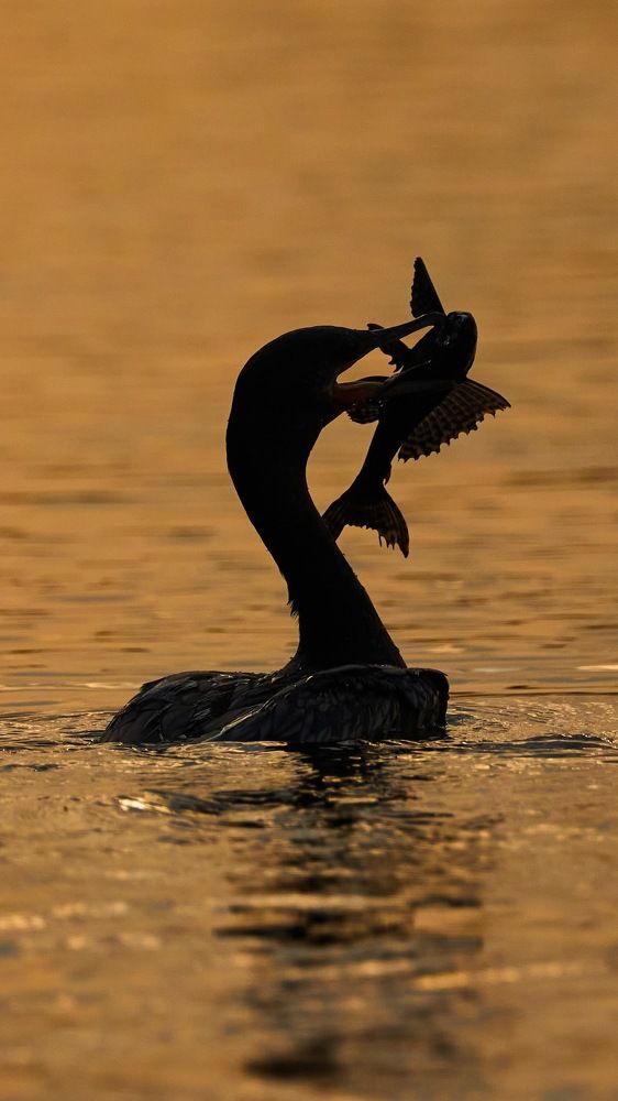 Фотография автора Boris Konovalov