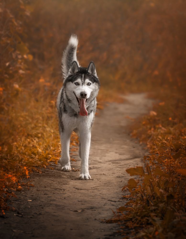 Photograph by Людмила Подольская