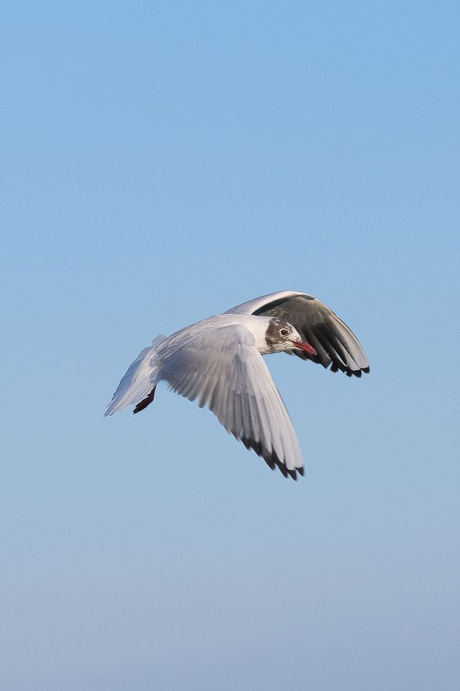 Photograph by Татьяна Глебова