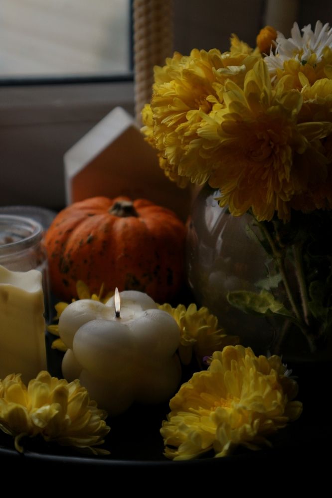 Фотография автора Александра Островская