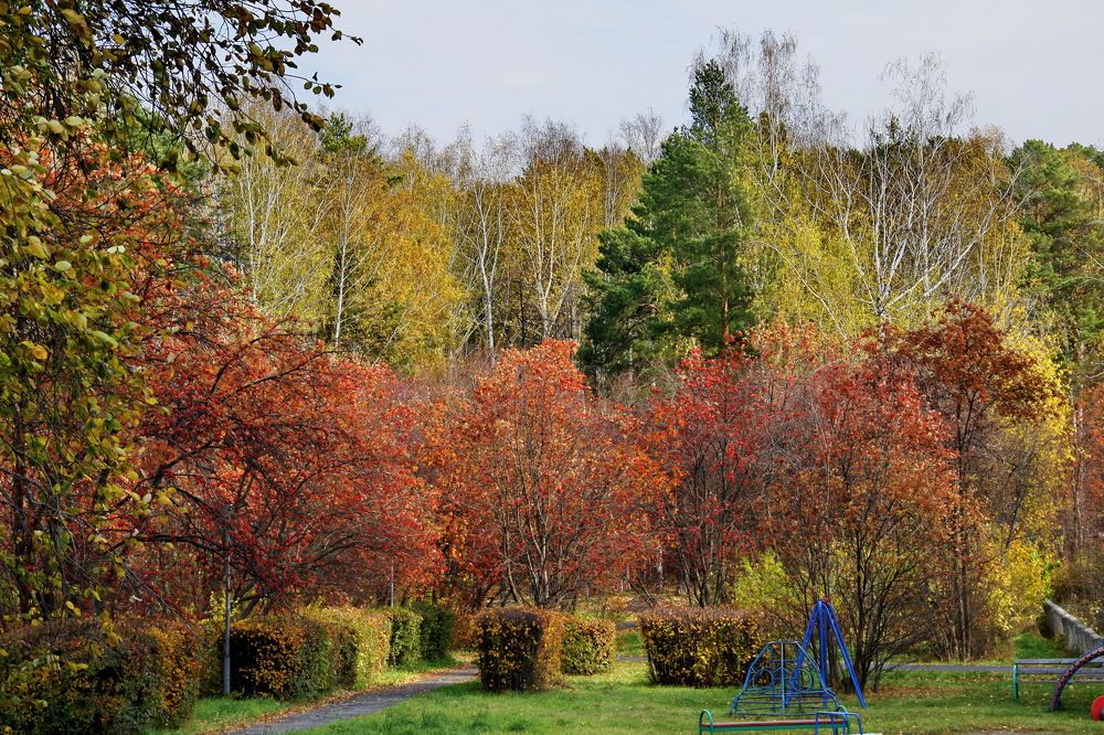 Photograph by Еловиков Олег