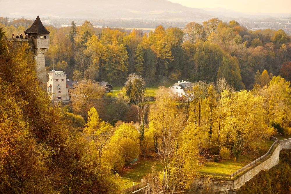 Фотография автора Liudmila Kiermeier