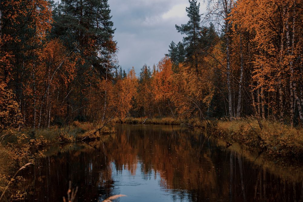 Photograph by Ксения Рябухина