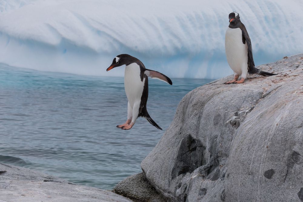 Photograph by Марина Маликова