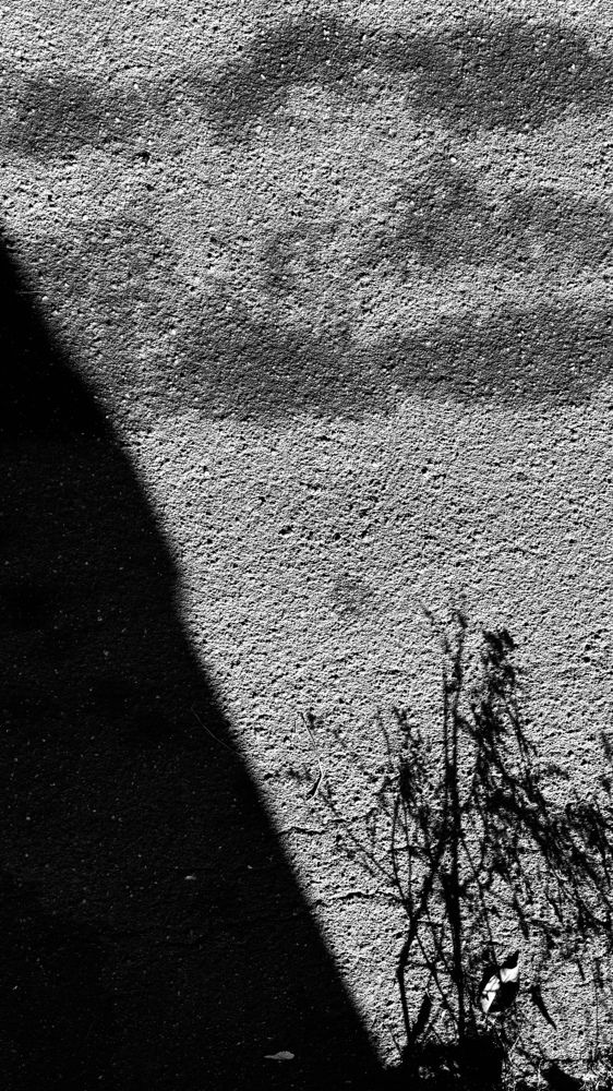 Photograph by Oxana Petlina