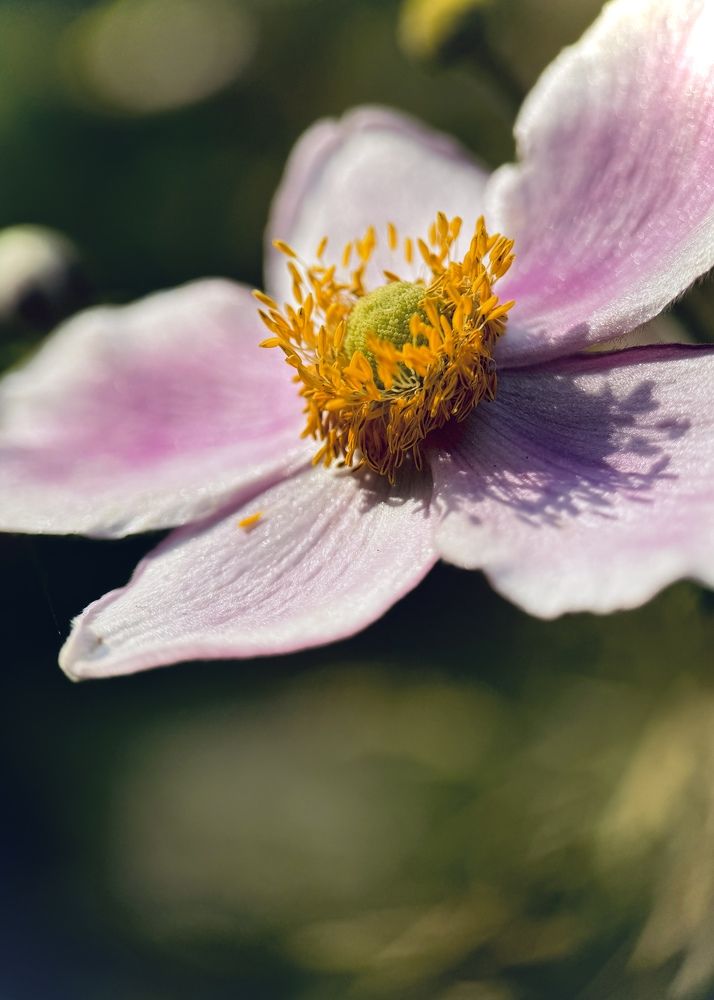 Photograph by Oxana Petlina