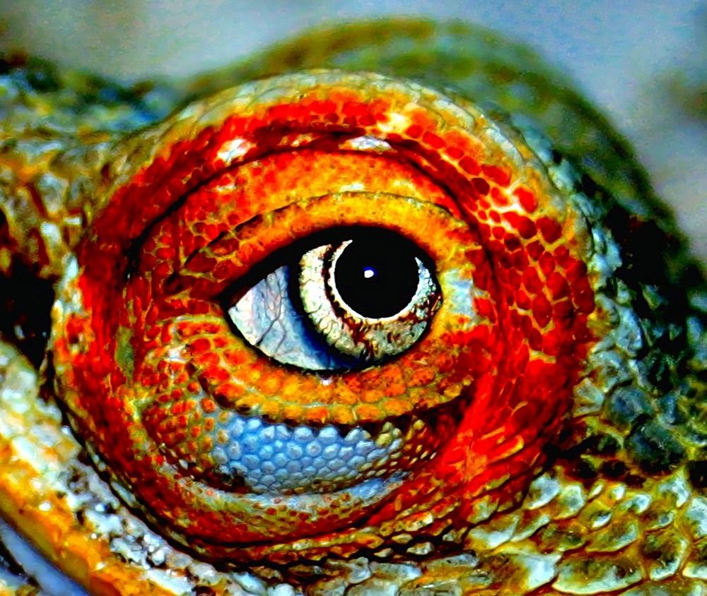 Photograph by Татьяна Слесарева