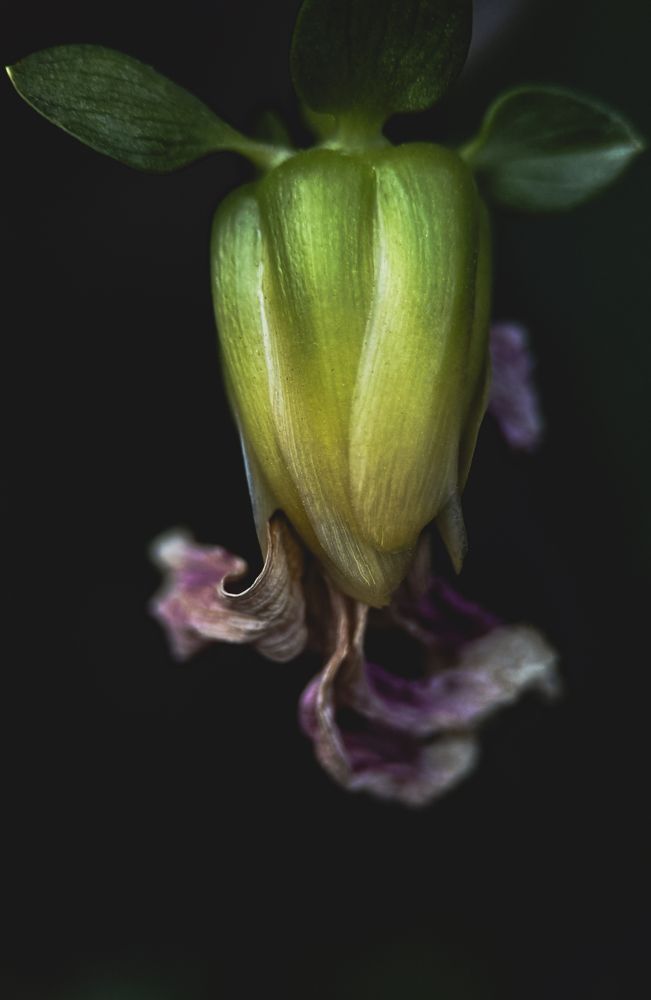 Photograph by Oxana Petlina