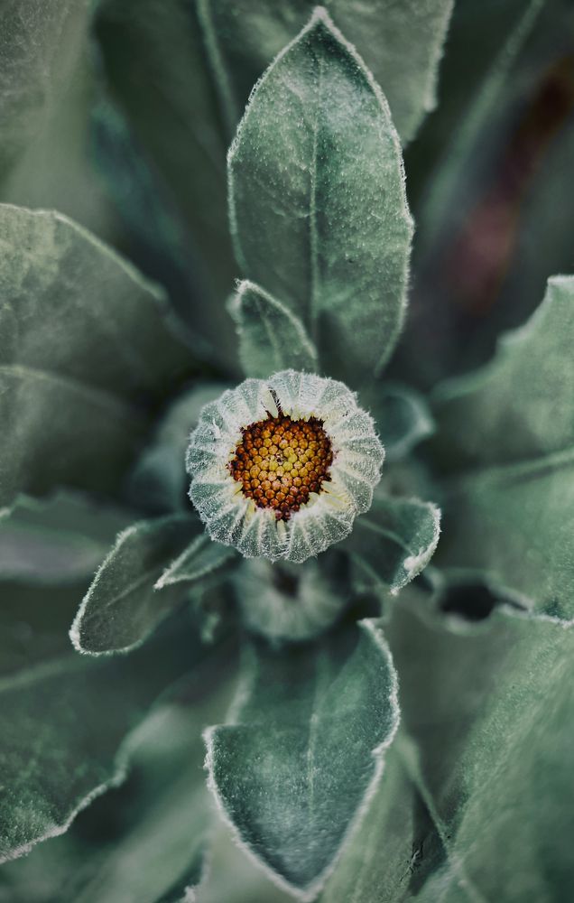 Photograph by Oxana Petlina