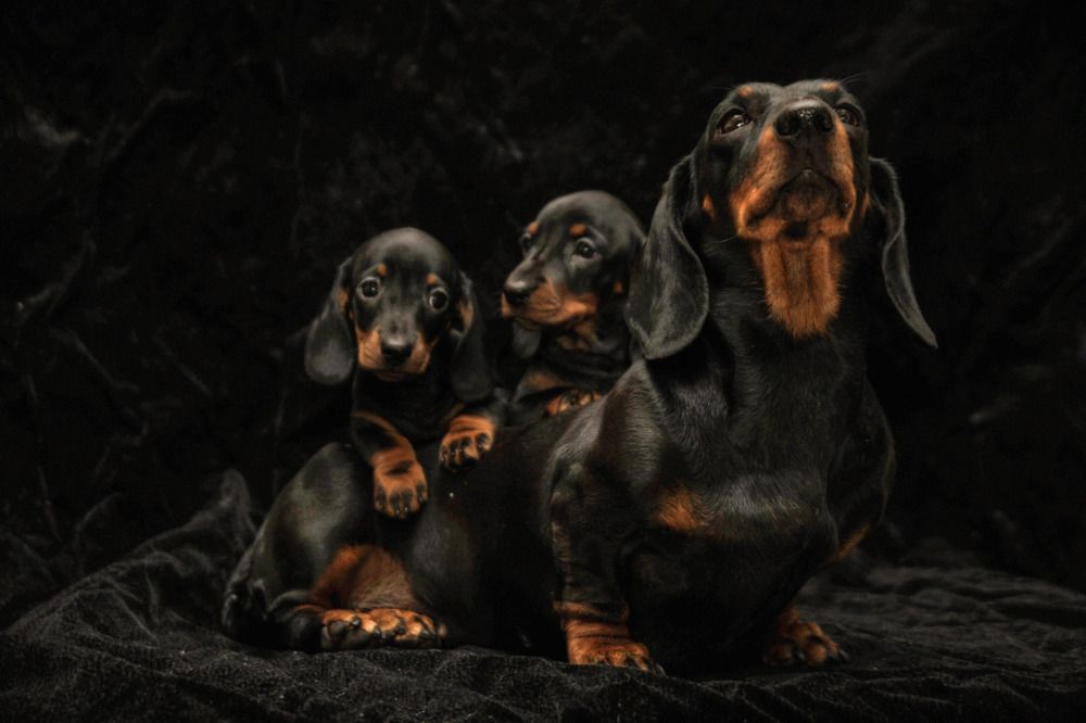 Photograph by Мария Лавриненко