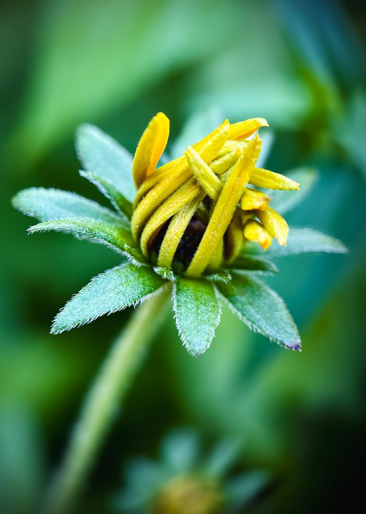 Photograph by Oxana Petlina