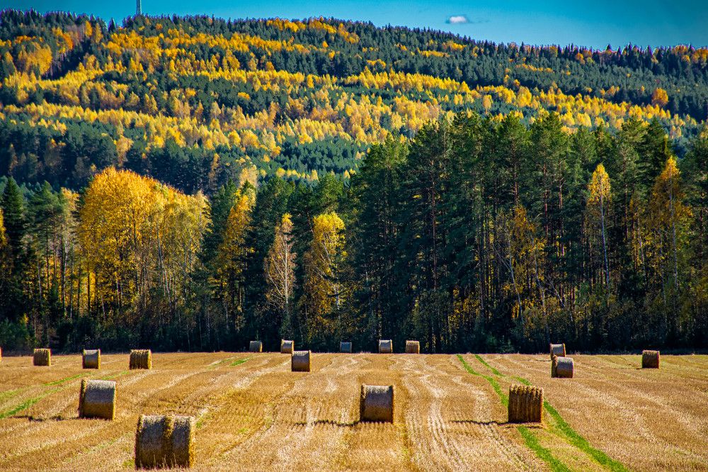 Photograph by Людмила Баймухаметова