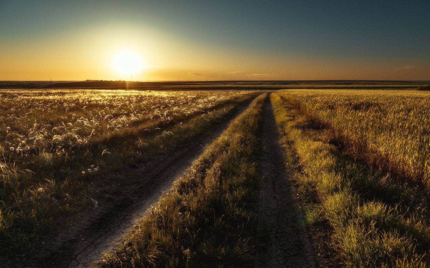 Фотография #11149536