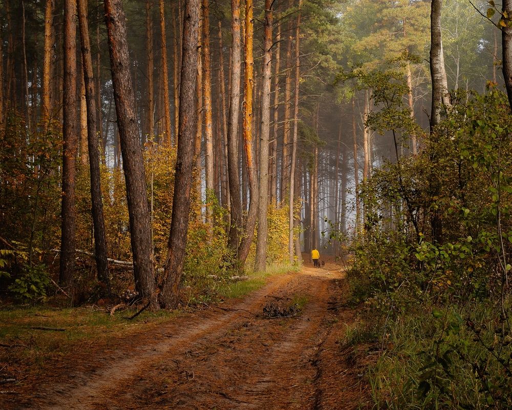 Photograph by София Стрыгина