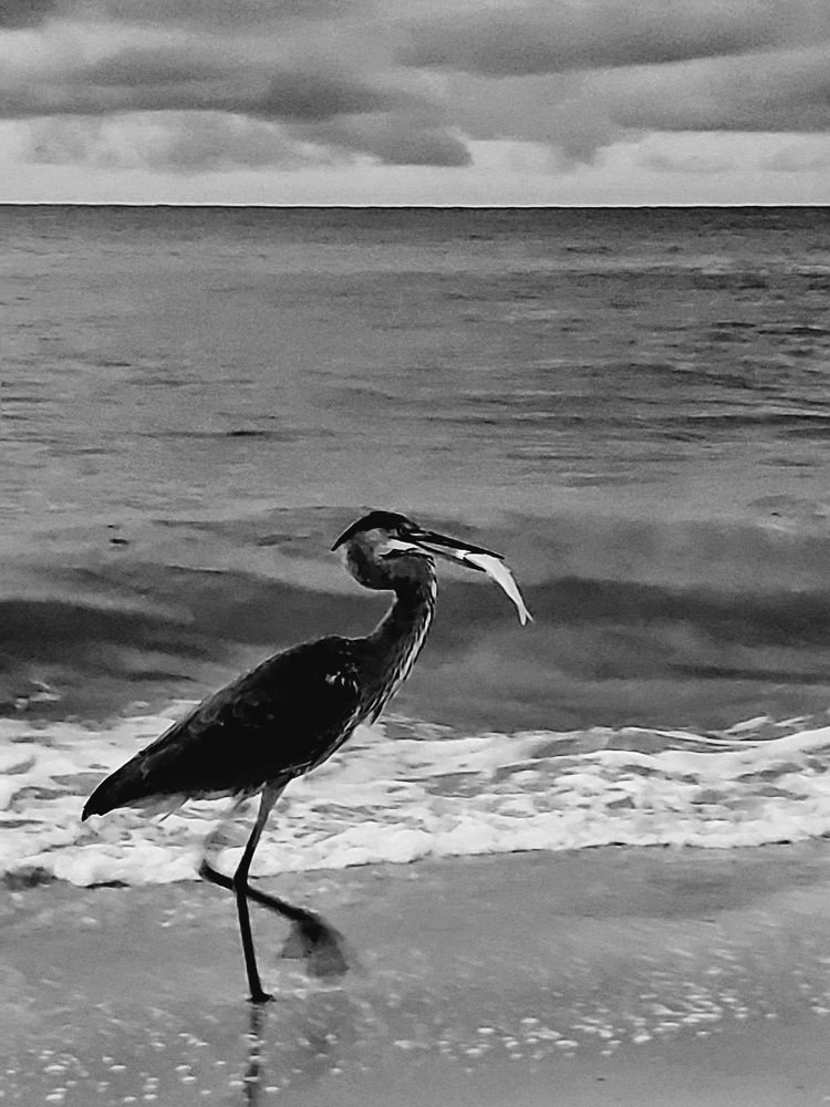 Photograph by Татьяна Пирс