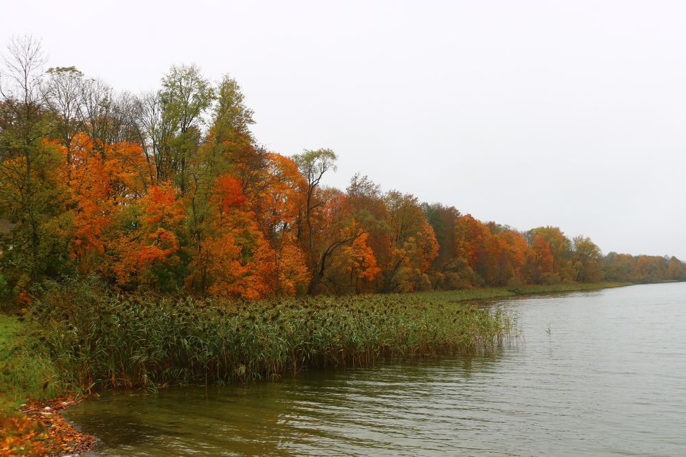 Photograph by Наталья Клячина