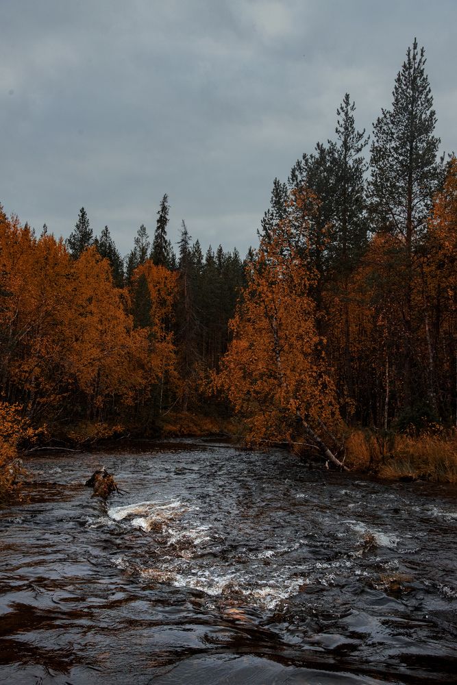 Photograph by Ксения Рябухина