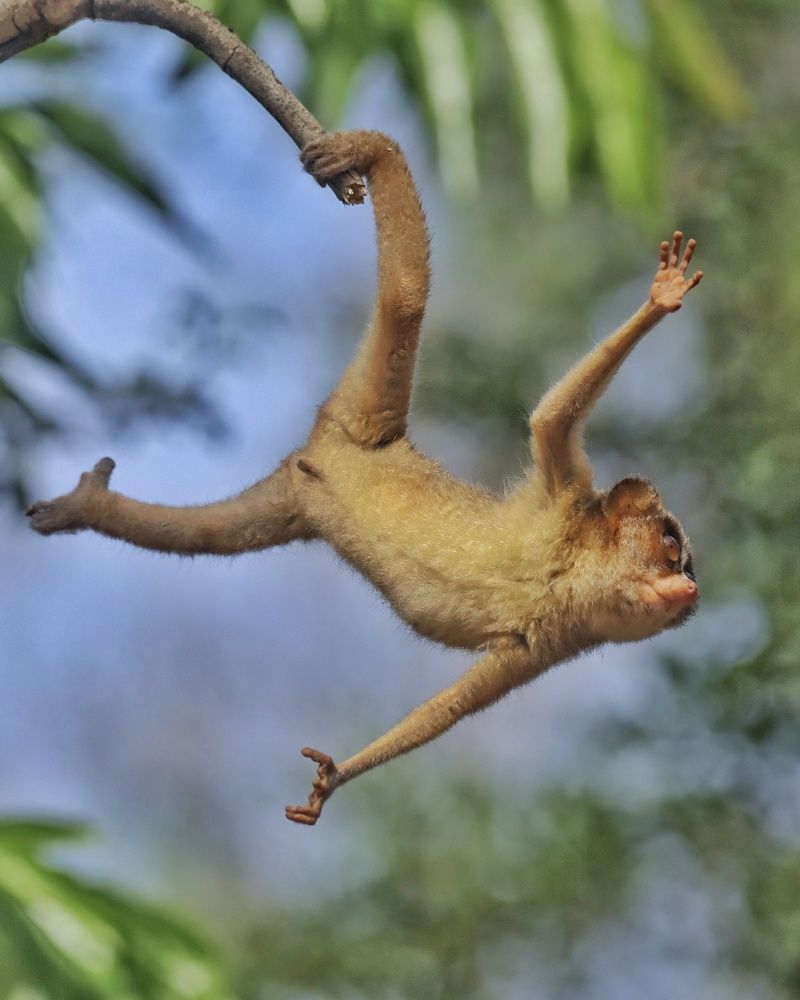 Photograph by prabhakar Gujjarappa