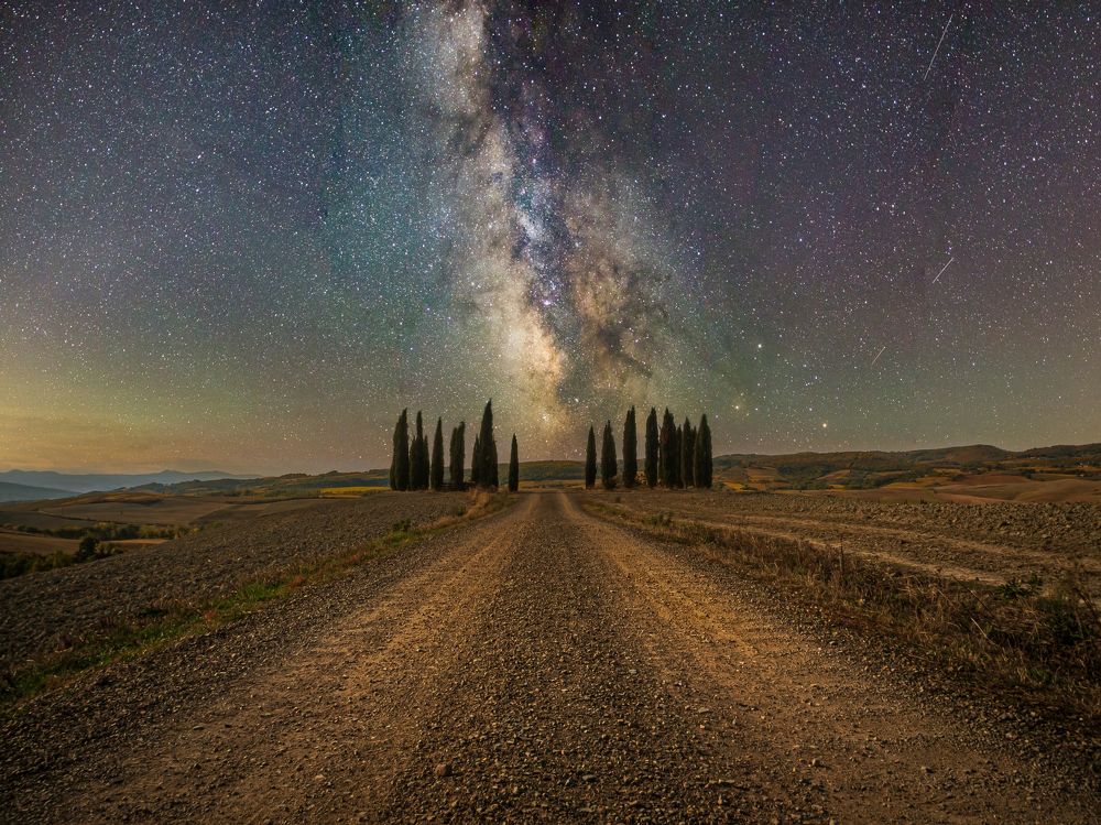 Photograph by Davide Poletto