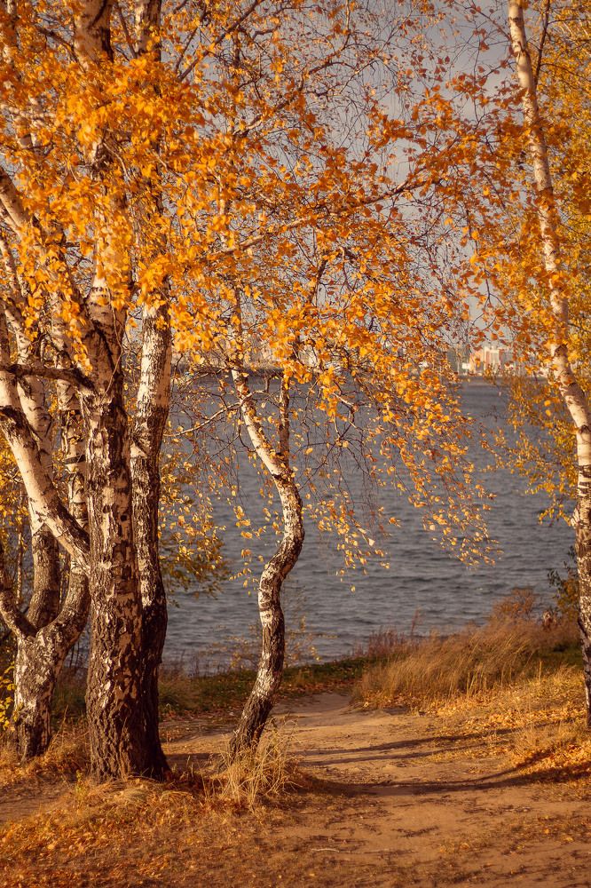 Photograph by Елена Рудь