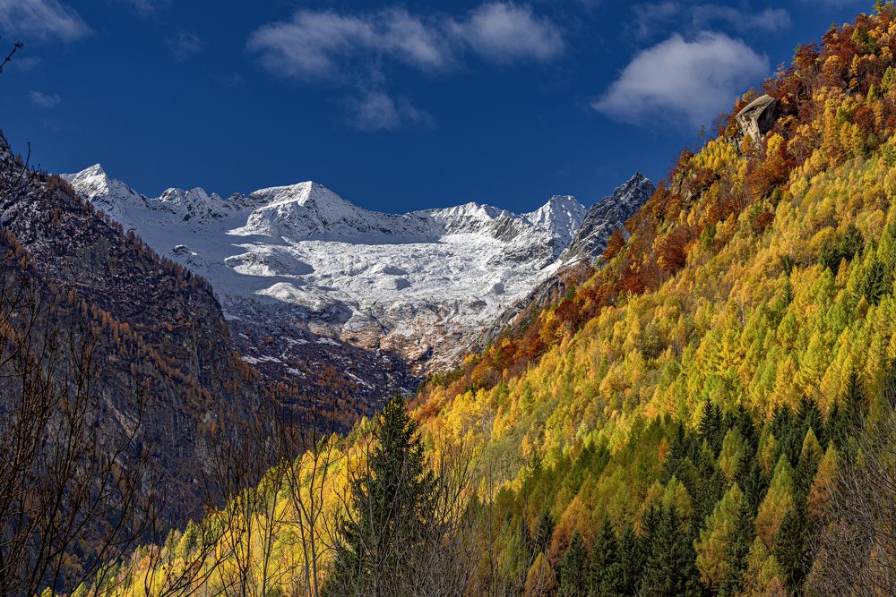 Фотография автора Paolo Barbarini