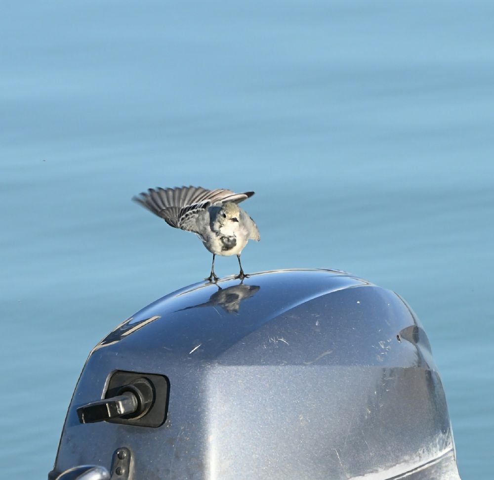 Photograph by Ольга Пумочка-13