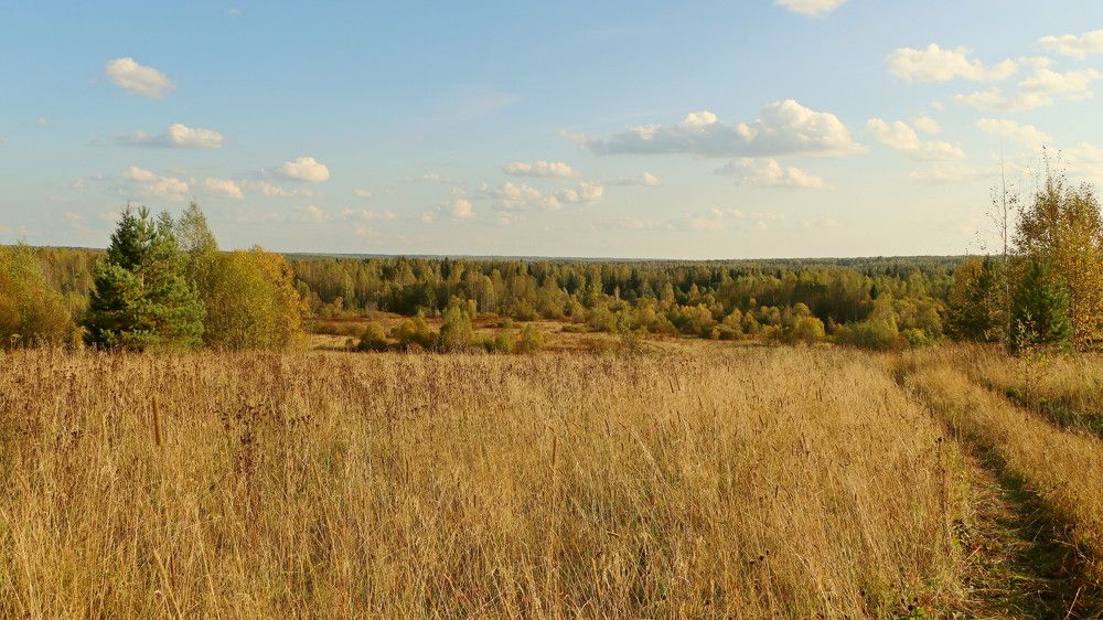 Photograph by Лариса Левченко