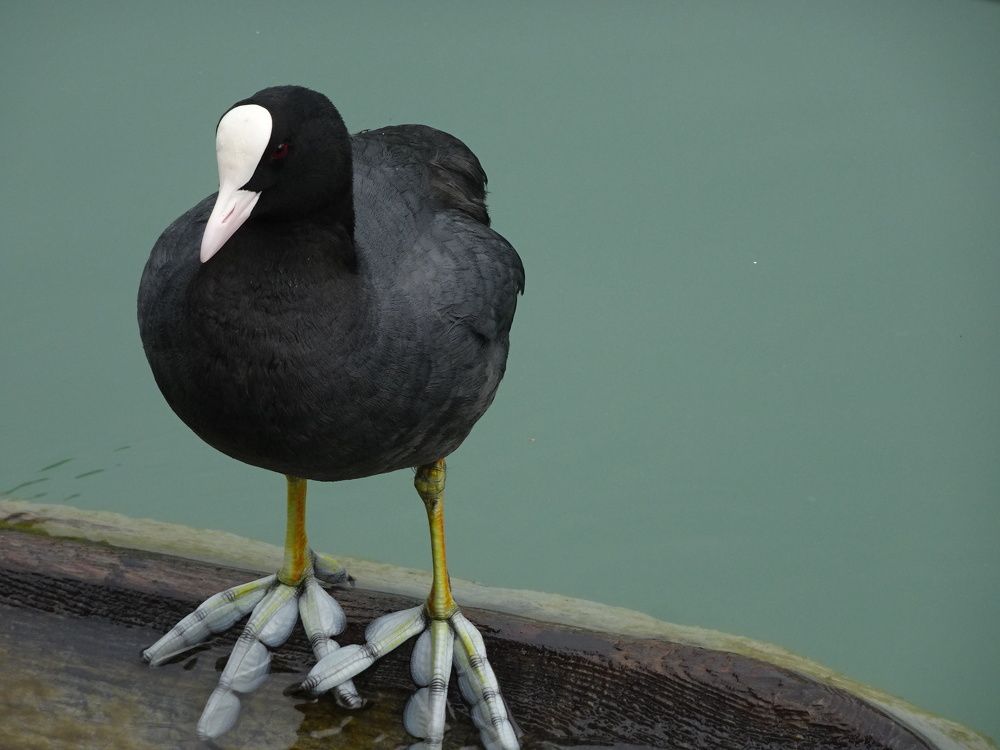 Photograph by Мила Милая