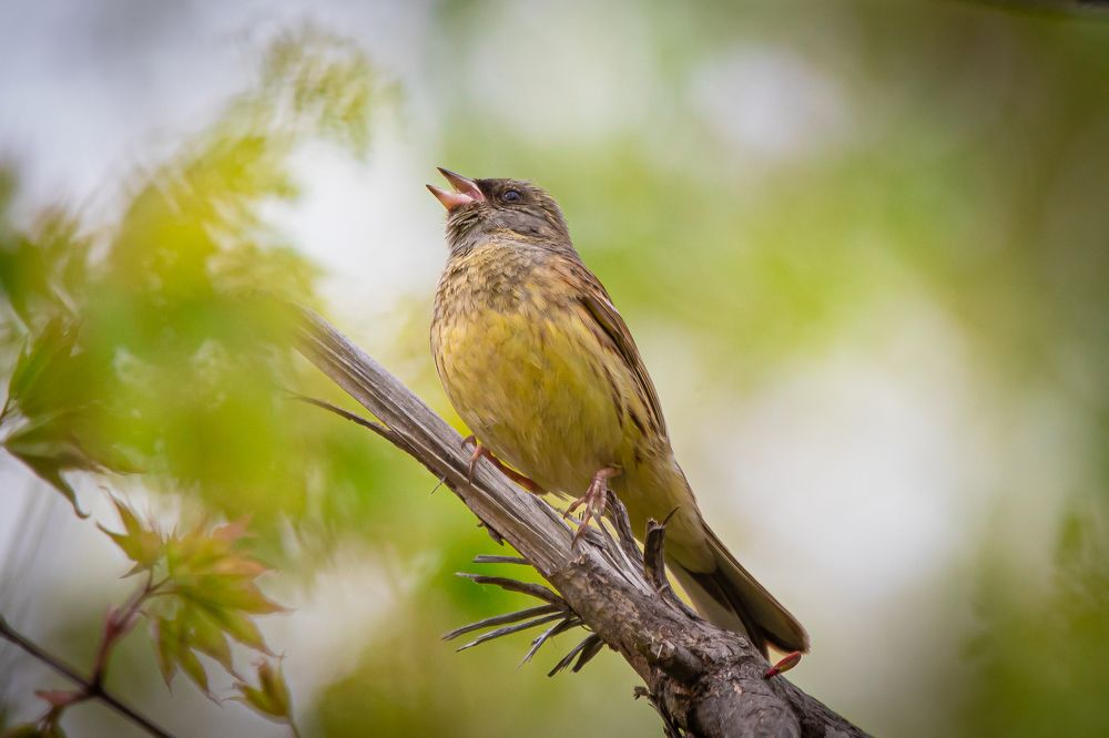 Photograph by Evgenia Loskutova