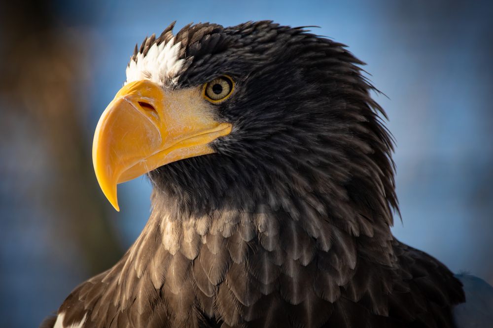 Photograph by Evgenia Loskutova