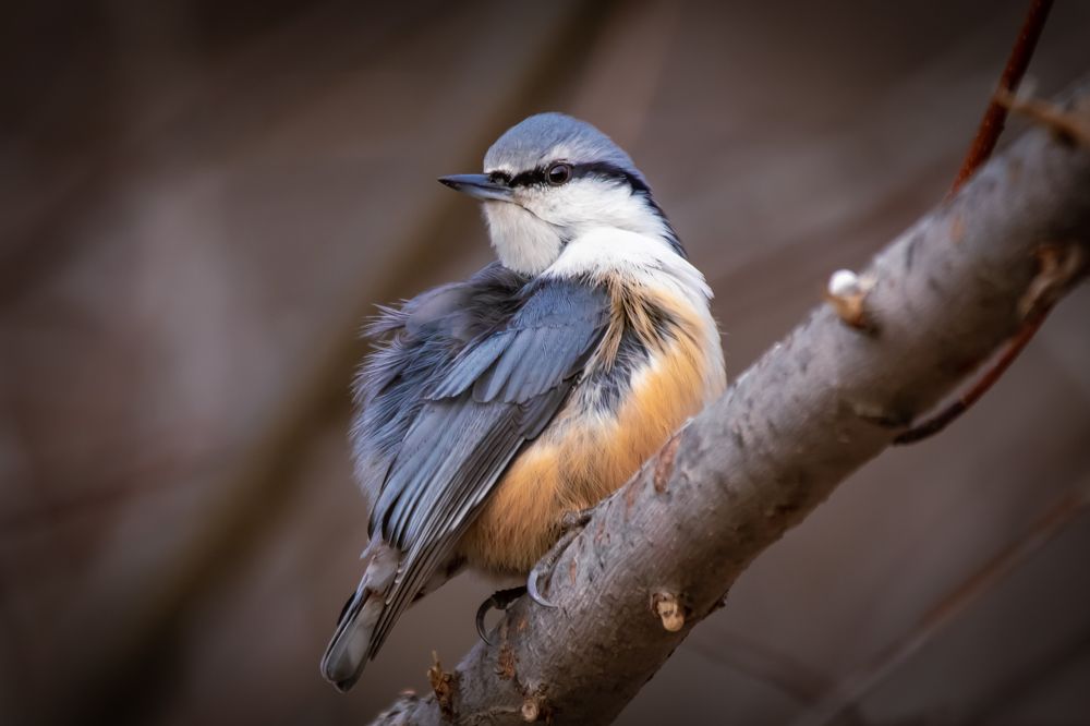 Photograph by Evgenia Loskutova