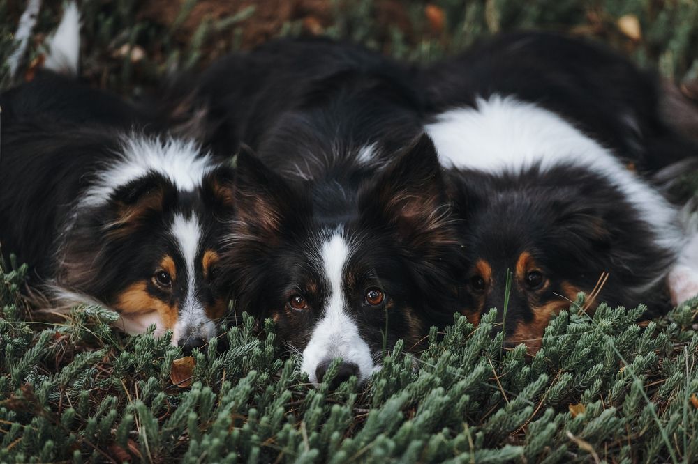 Фотография автора Мария Семенова