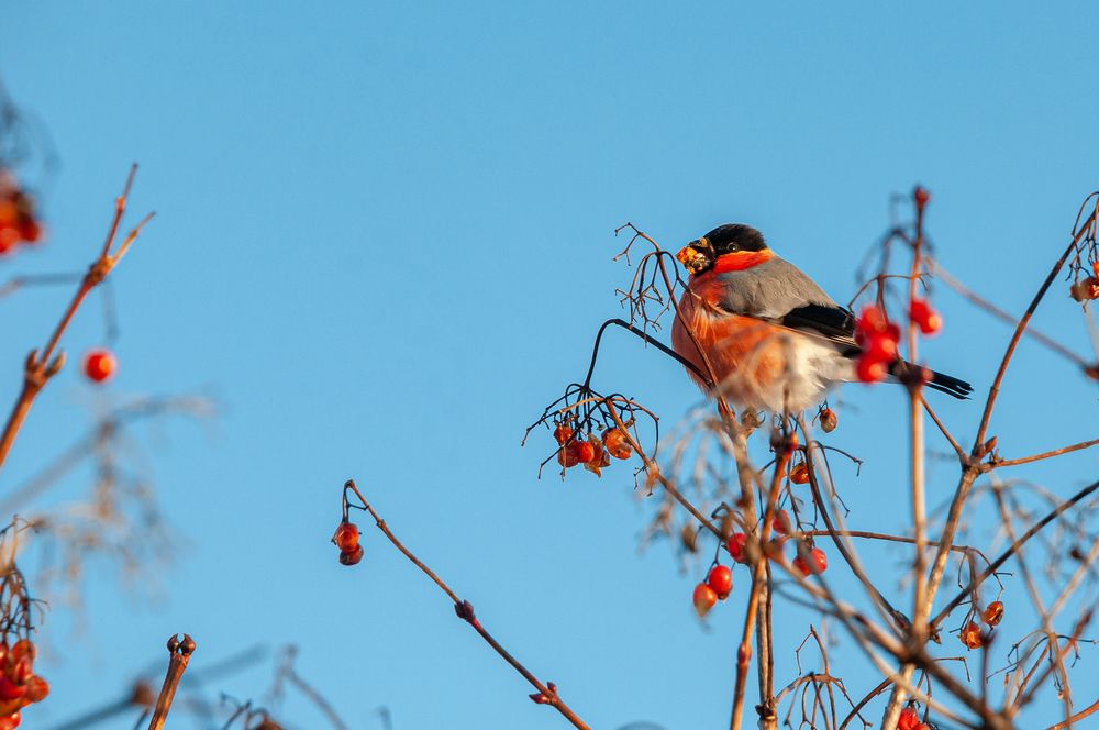 Photograph by Алексей