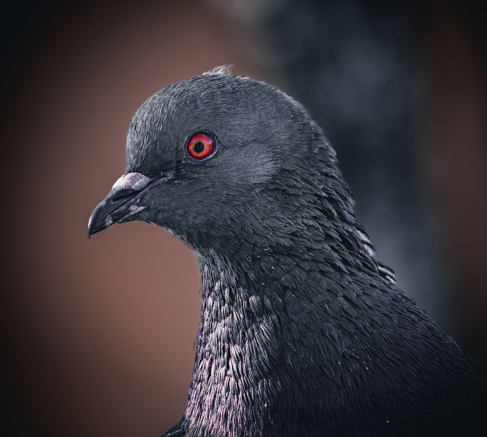 Photograph by Александр Данилов