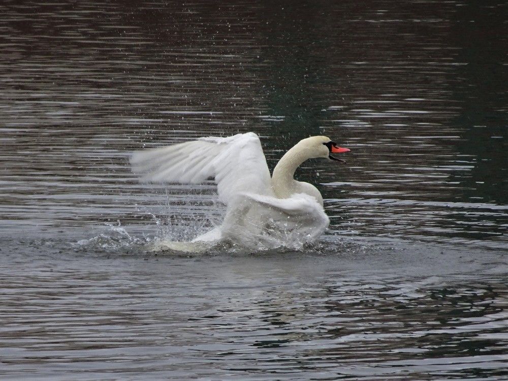 Photograph by Мила Милая