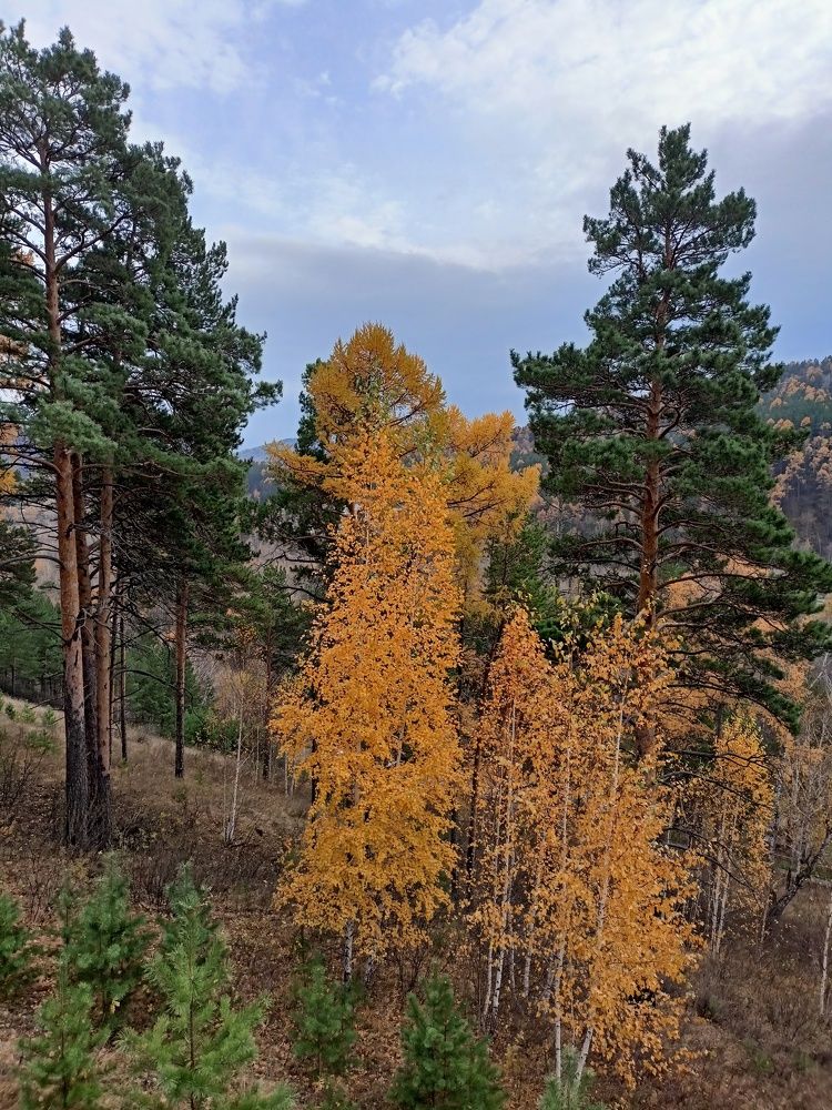 Photograph by Анастасия Горбачева