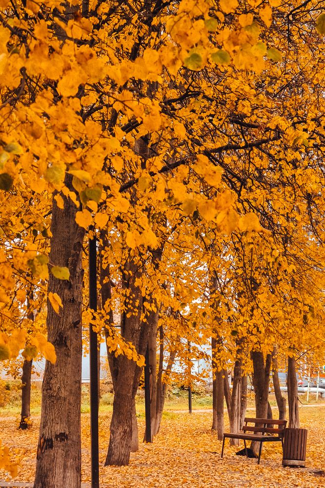 Photograph by Елена Квасова