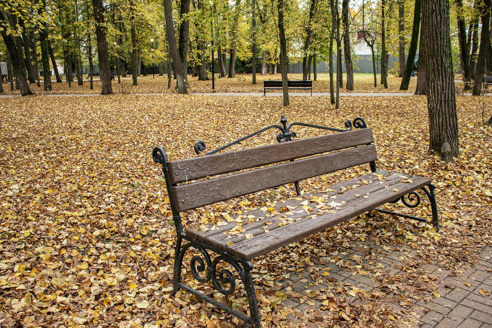 Photograph by Елена Беланенко