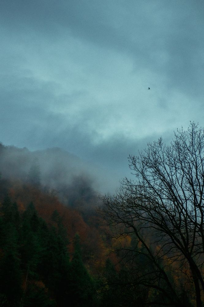 Photograph by Зоя Ципельштейн