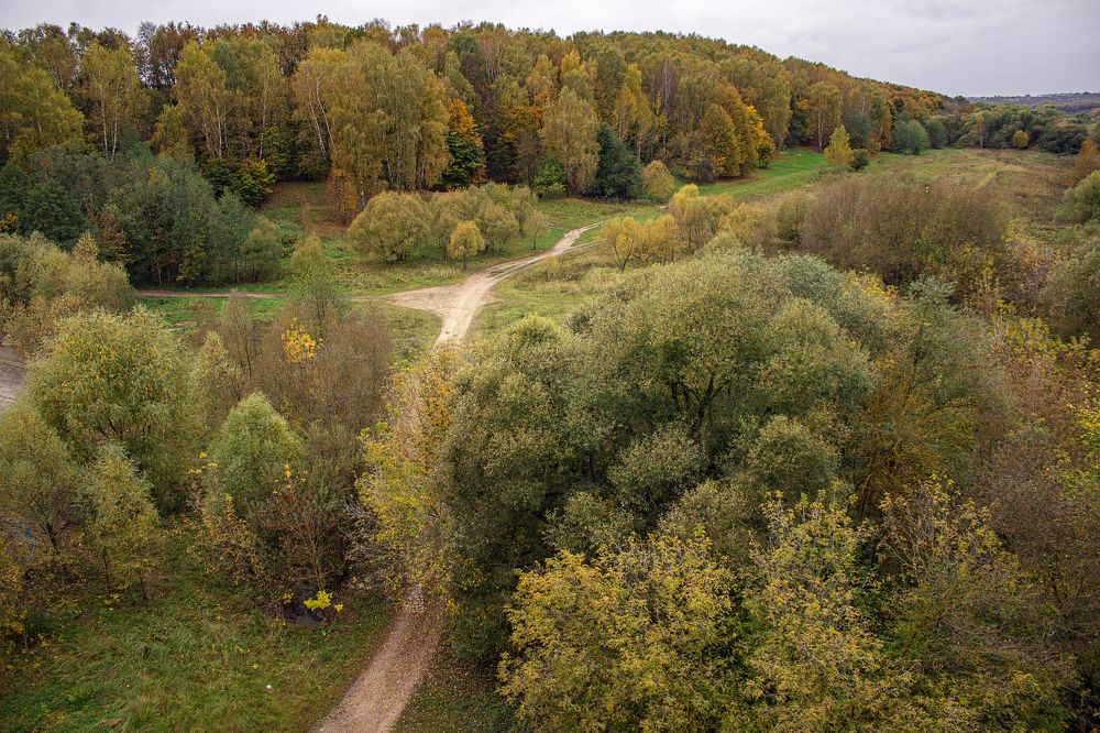 Photograph by Елена Беланенко