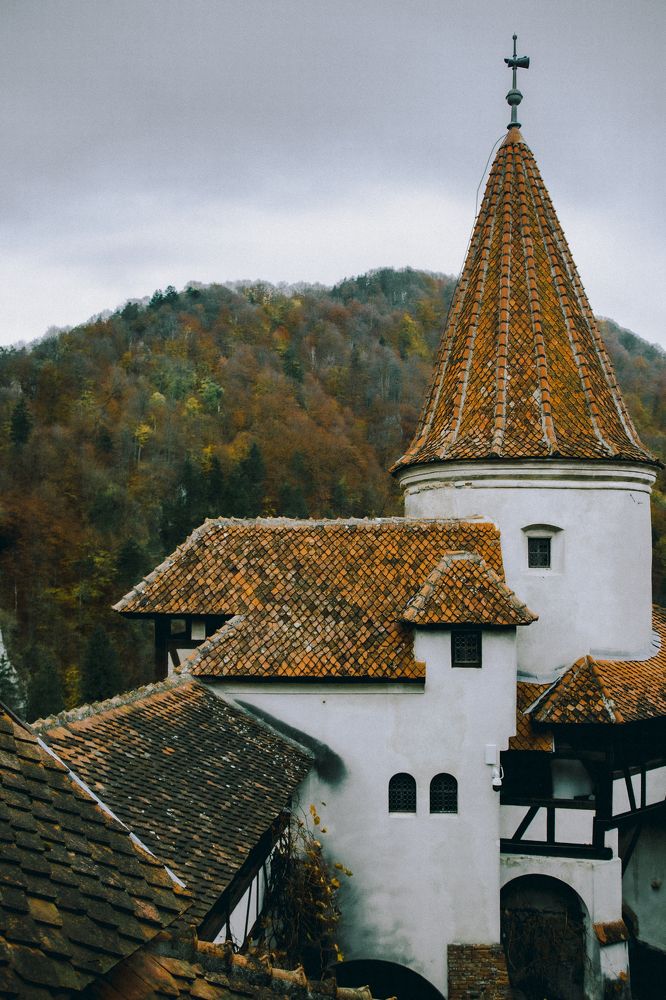 Photograph by Зоя Ципельштейн