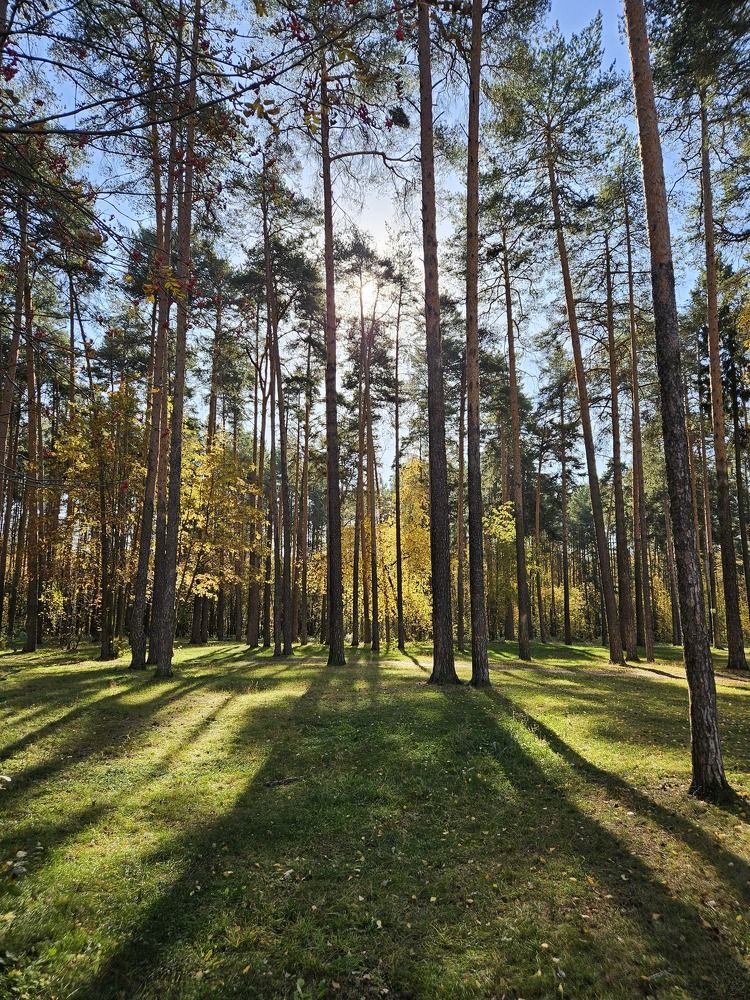 Photograph by Эльвира