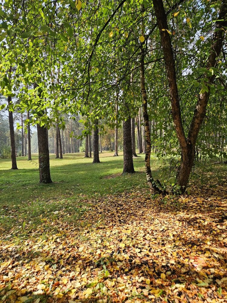 Photograph by Эльвира