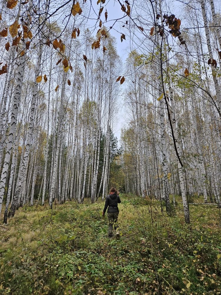 Photograph by Эльвира