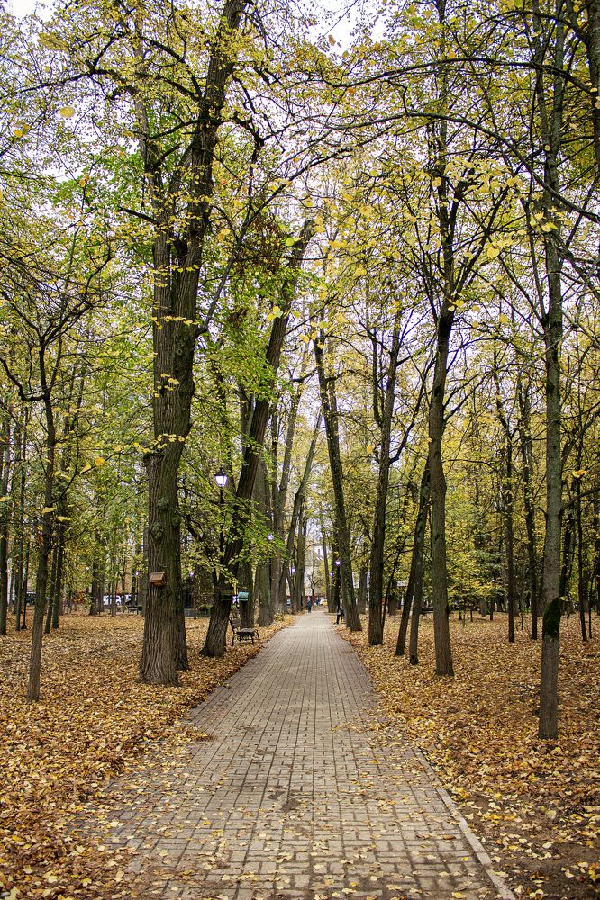 Photograph by Елена Беланенко