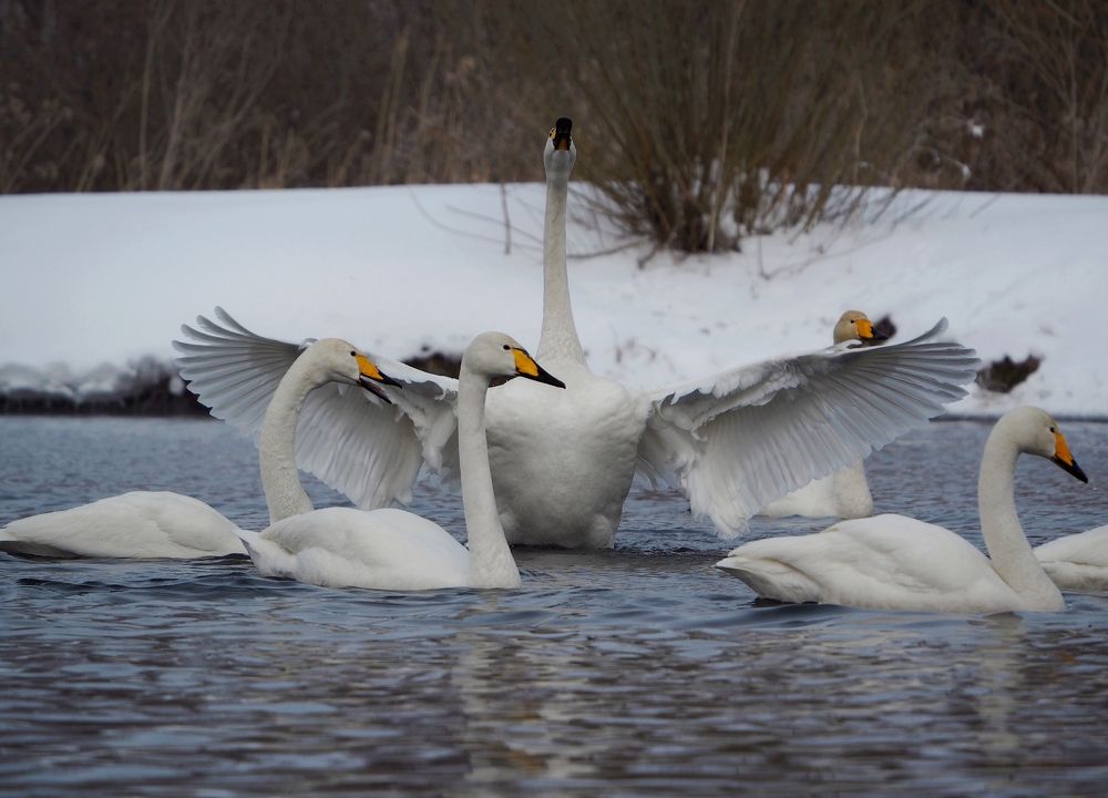 Photograph by Евгений Яковлев