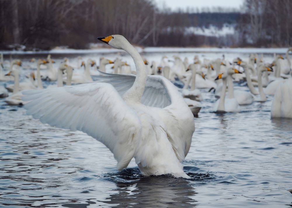 Photograph by Евгений Яковлев