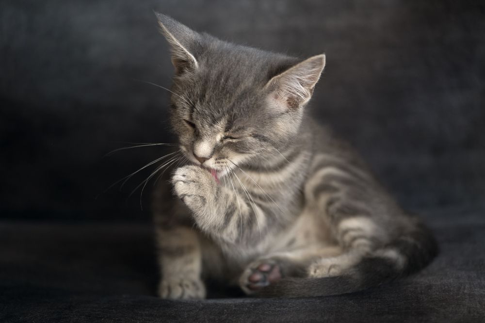 Photograph by Сергей Алексеев